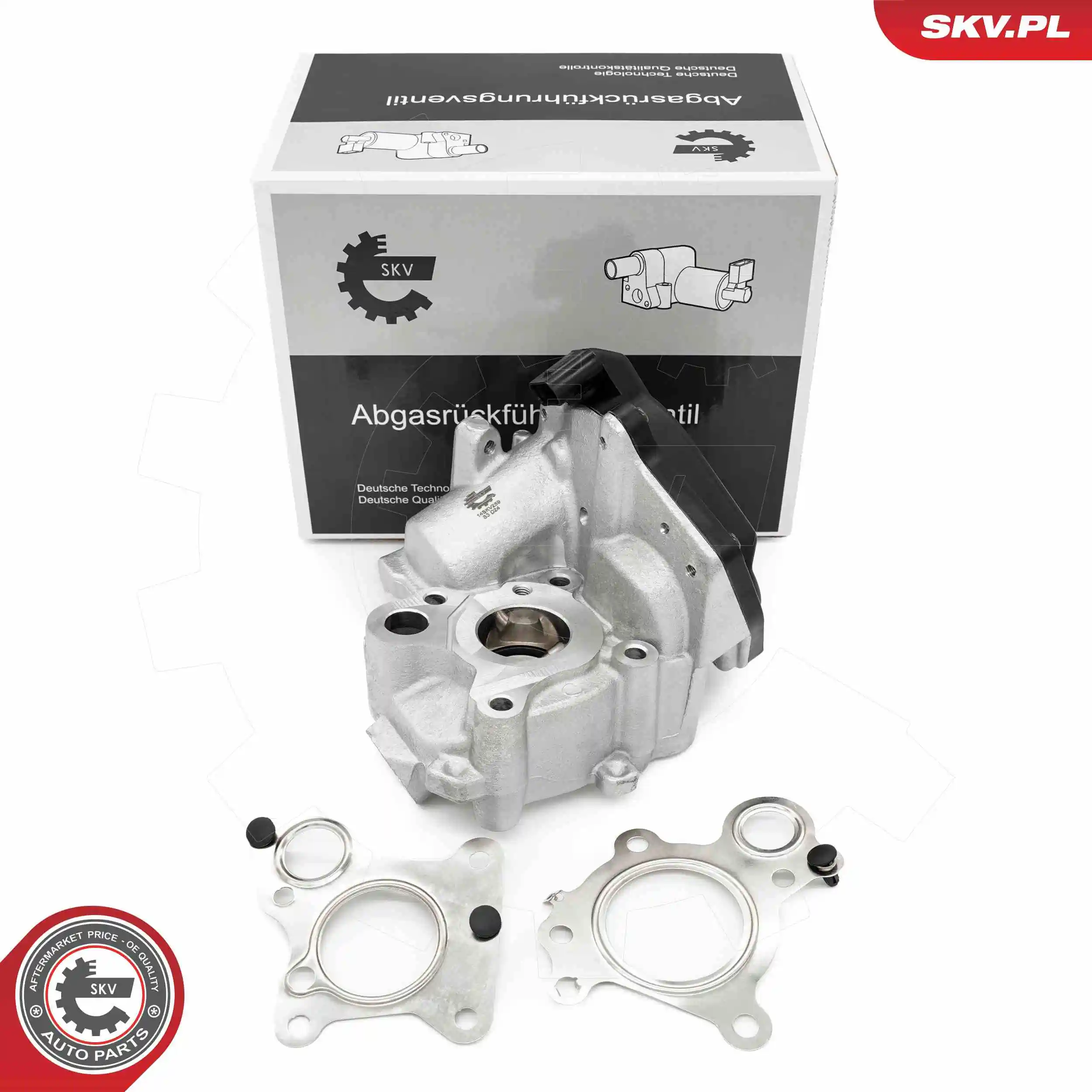 EGR Valve